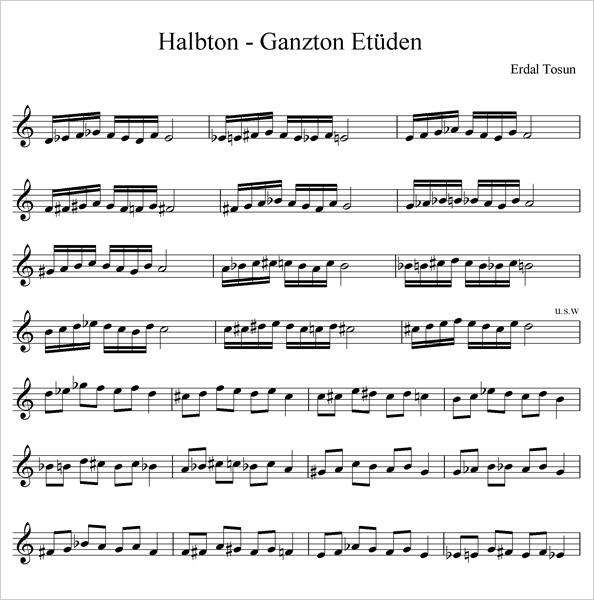 Halbton-Ganzton Etüen /// Copyright: Erdal Tosun 2013